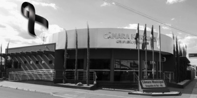Notícia Image